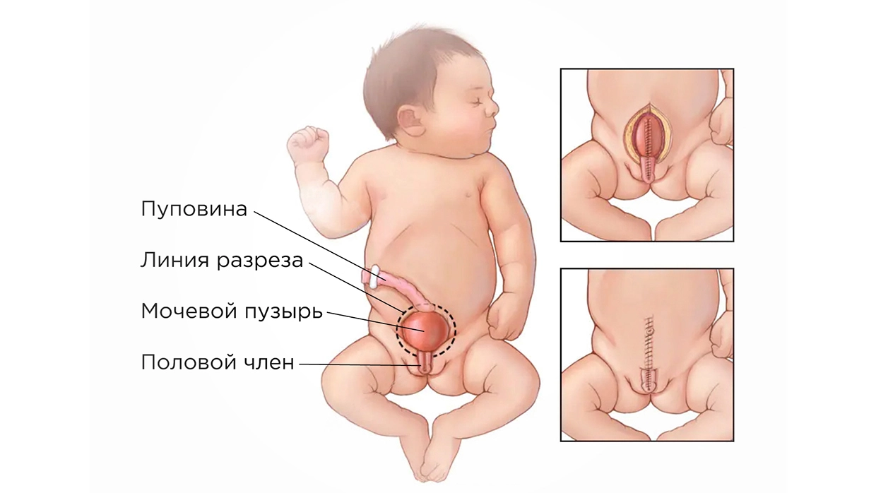 Как вставить член во влагалище - 3000 русских видео